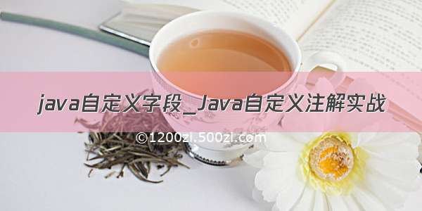 java自定义字段_Java自定义注解实战