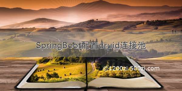 SpringBoot配置druid连接池