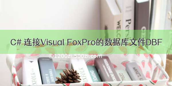 C# 连接Visual FoxPro的数据库文件DBF