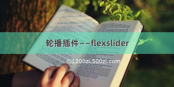 轮播插件——flexslider