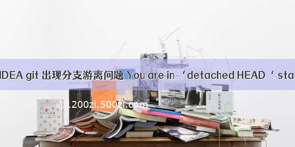 GIT:IDEA git 出现分支游离问题 You are in ‘detached HEAD‘ state