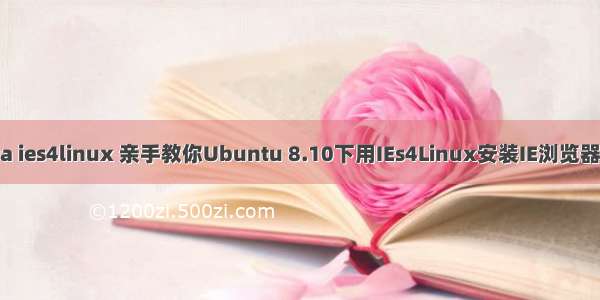 fedora ies4linux 亲手教你Ubuntu 8.10下用IEs4Linux安装IE浏览器[多图]