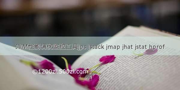 JVM性能调优监控工具jps jstack jmap jhat jstat hprof