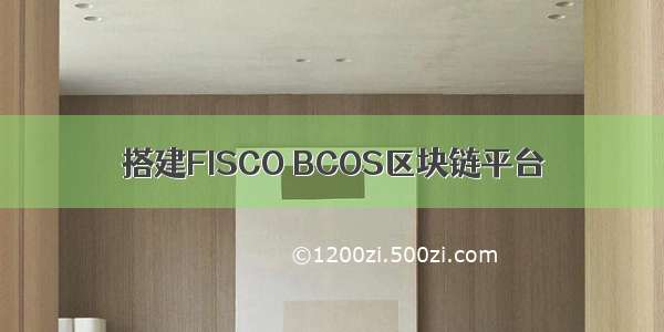 搭建FISCO BCOS区块链平台