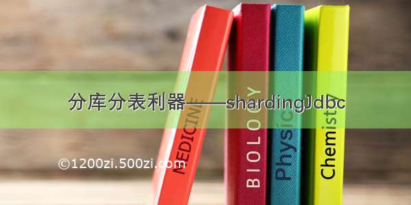 分库分表利器——shardingJdbc