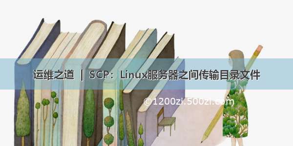 运维之道  |  SCP：Linux服务器之间传输目录文件