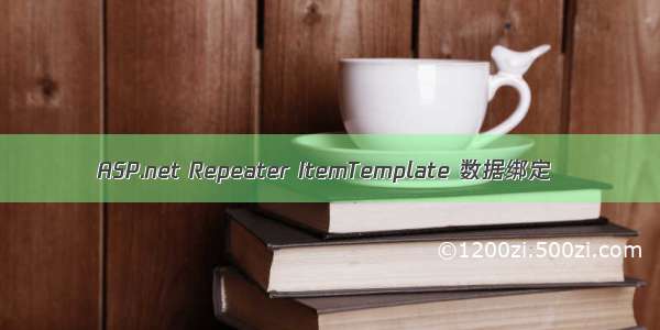 ASP.net Repeater ItemTemplate 数据绑定