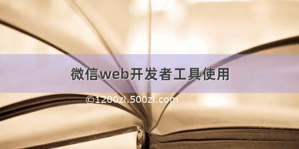 微信web开发者工具使用