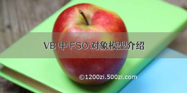 VB 中 FSO 对象模型介绍