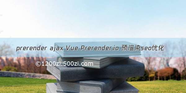 prerender ajax Vue Prerender.io 预渲染seo优化