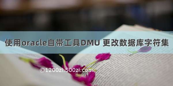 使用oracle自带工具DMU 更改数据库字符集