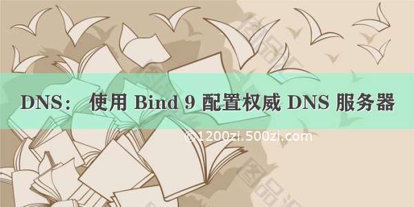 DNS： 使用 Bind 9 配置权威 DNS 服务器