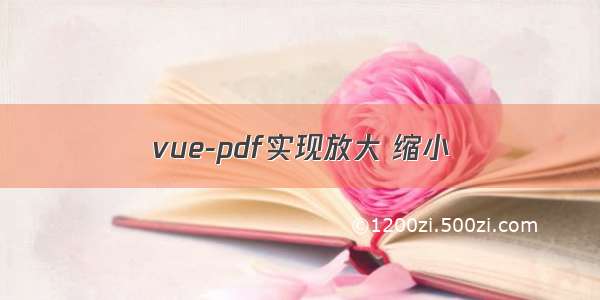 vue-pdf实现放大 缩小