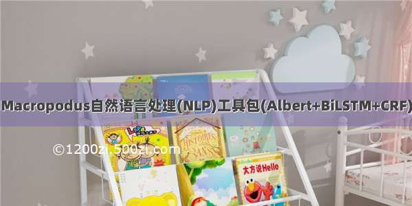 Macropodus自然语言处理(NLP)工具包(Albert+BiLSTM+CRF)