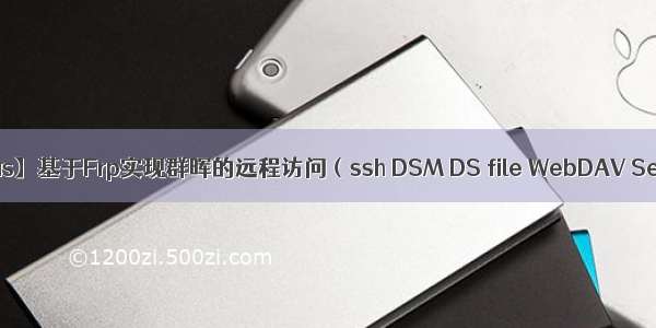 【内网穿透Nas】基于Frp实现群晖的远程访问（ssh DSM DS file WebDAV Server emby）