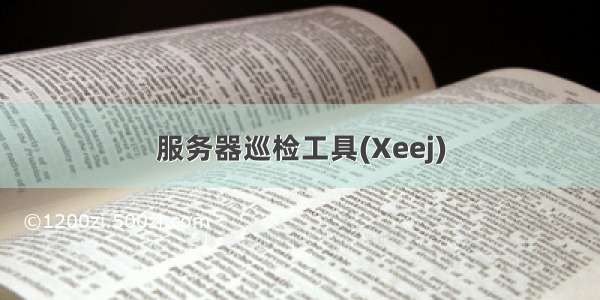 服务器巡检工具(Xeej)