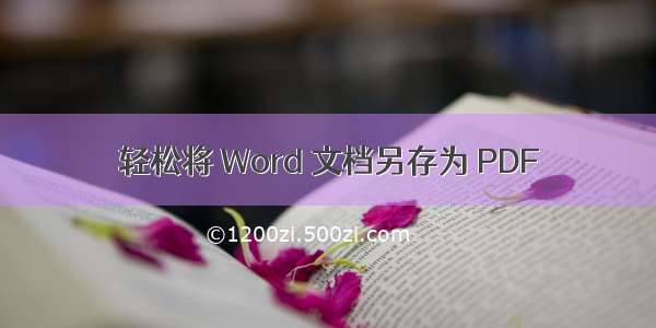 轻松将 Word 文档另存为 PDF