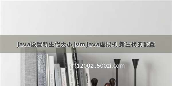 java设置新生代大小 jvm java虚拟机 新生代的配置