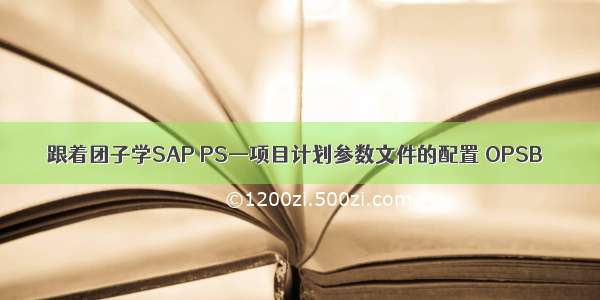 跟着团子学SAP PS—项目计划参数文件的配置 OPSB