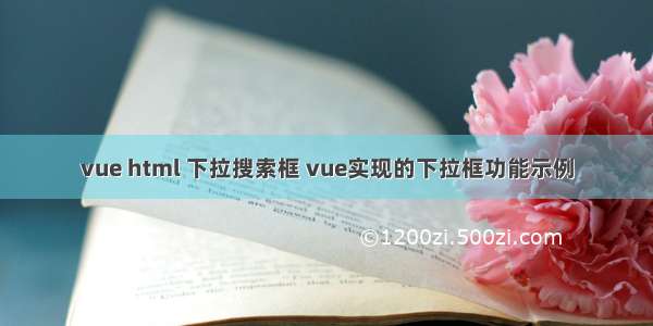 vue html 下拉搜索框 vue实现的下拉框功能示例