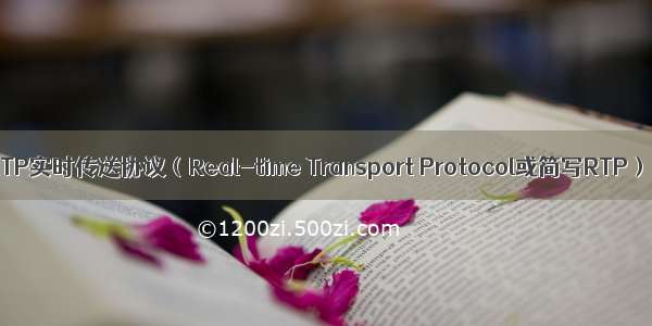 RTP实时传送协议（Real-time Transport Protocol或简写RTP）