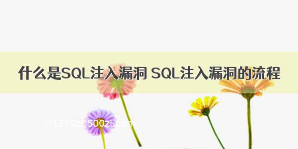 什么是SQL注入漏洞 SQL注入漏洞的流程