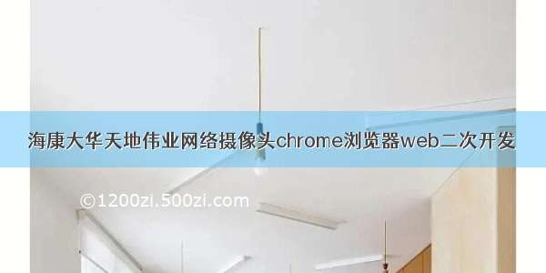 海康大华天地伟业网络摄像头chrome浏览器web二次开发