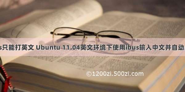 linux ibus只能打英文 Ubuntu 11.04英文环境下使用ibus输入中文并自动启动输入法