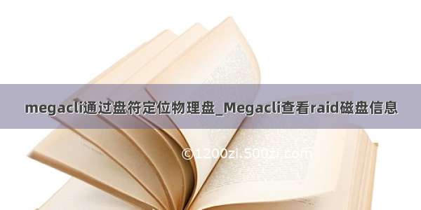 megacli通过盘符定位物理盘_Megacli查看raid磁盘信息