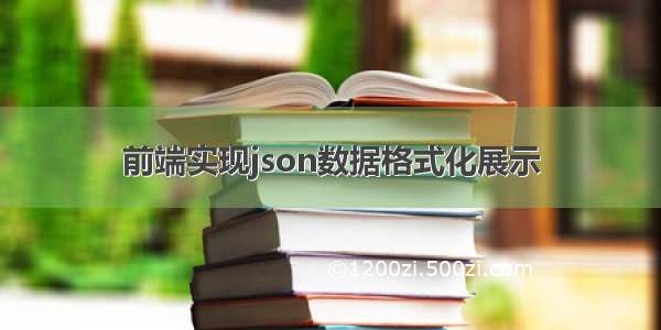 前端实现json数据格式化展示