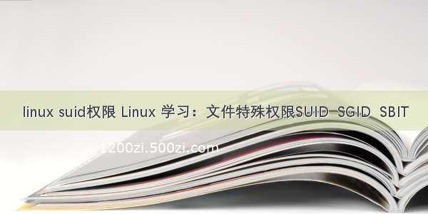 linux suid权限 Linux 学习：文件特殊权限SUID  SGID  SBIT