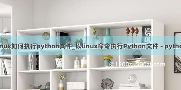 linux如何执行python文件_以linux命令执行Python文件 - python