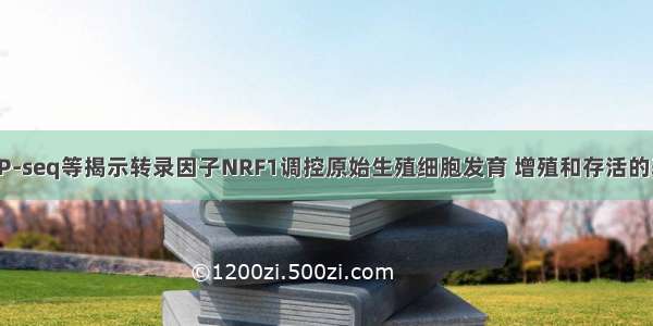 易基因：ChIP-seq等揭示转录因子NRF1调控原始生殖细胞发育 增殖和存活的表观遗传机制