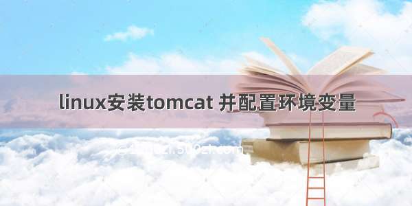 linux安装tomcat 并配置环境变量