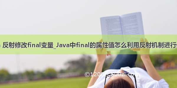 java 反射修改final变量_Java中final的属性值怎么利用反射机制进行修改