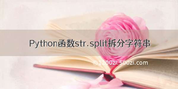 Python函数str.split拆分字符串