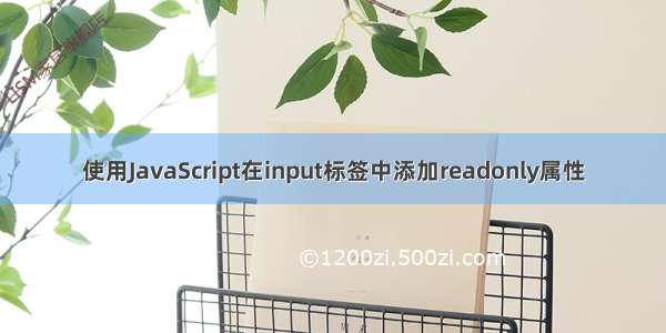 使用JavaScript在input标签中添加readonly属性