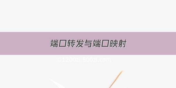 端口转发与端口映射