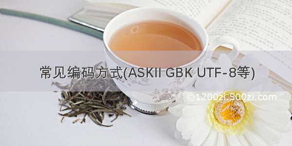 常见编码方式(ASKII GBK UTF-8等)