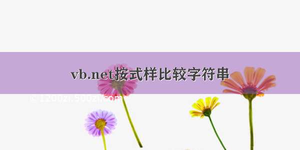 vb.net按式样比较字符串