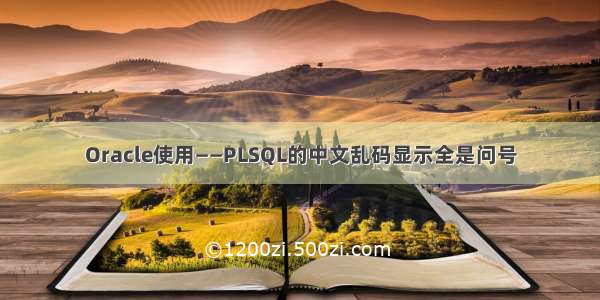 Oracle使用——PLSQL的中文乱码显示全是问号