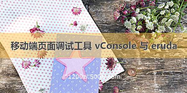 移动端页面调试工具 vConsole 与 eruda