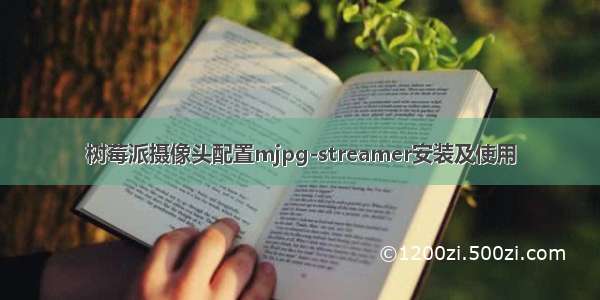 树莓派摄像头配置mjpg-streamer安装及使用