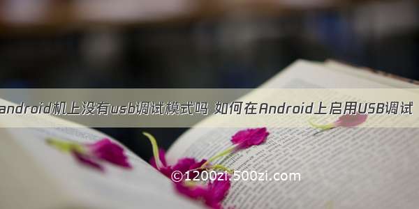 android机上没有usb调试模式吗 如何在Android上启用USB调试