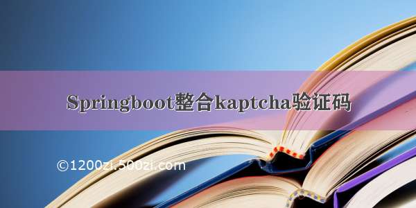 Springboot整合kaptcha验证码