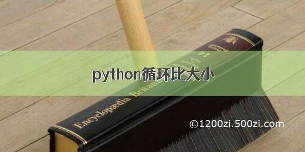 python循环比大小