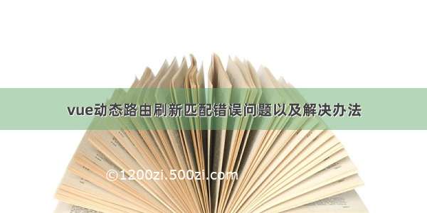 vue动态路由刷新匹配错误问题以及解决办法