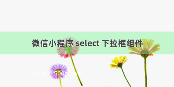 微信小程序 select 下拉框组件