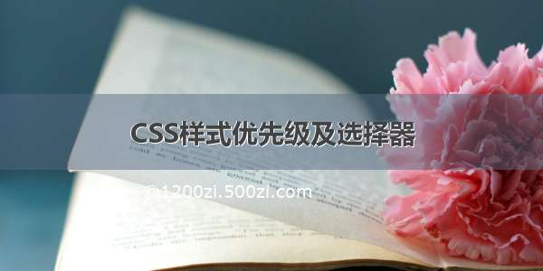 CSS样式优先级及选择器