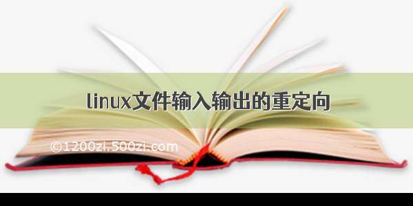 linux文件输入输出的重定向